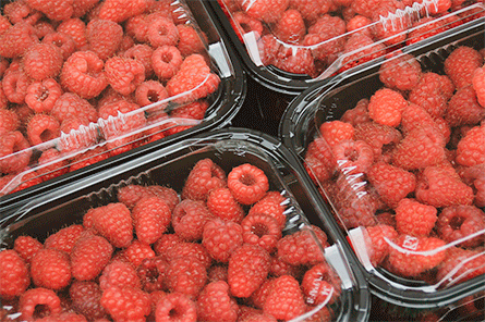 2A Label - Agro alimentaire - barquette de framboise grande surface