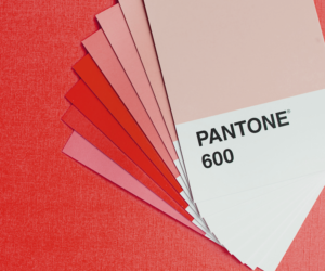 Tutoriel : Les couleurs Pantone dans Adobe